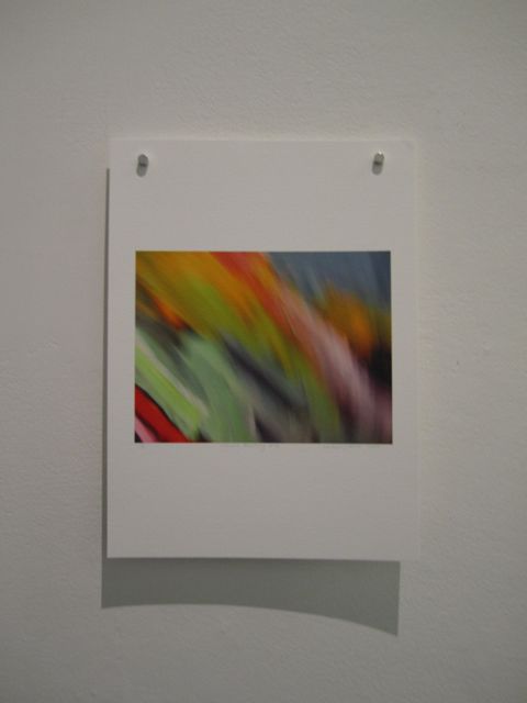 Camera Painting # 2, 2010, Rachael Polson