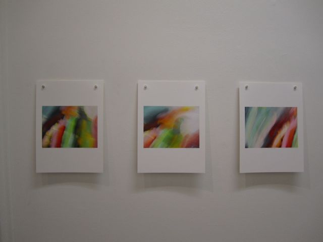 Camera Paintings #6 , #7, #8, 2010 Rachael Polson